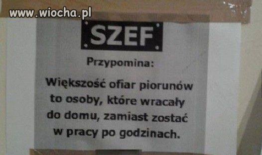 Szef zawsze ma rację