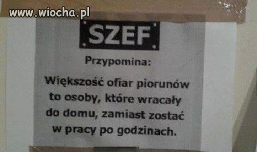 Szef zawsze ma rację