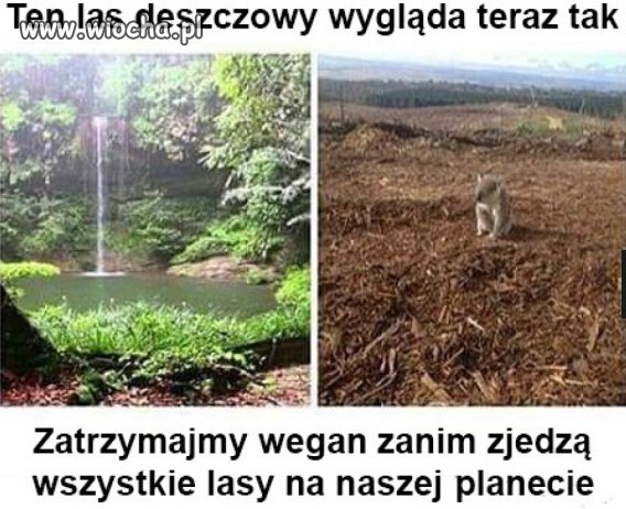 Weganie.