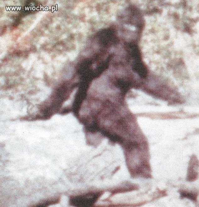 Nawet Yeti spier...ala
