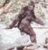 Nawet Yeti spier...ala