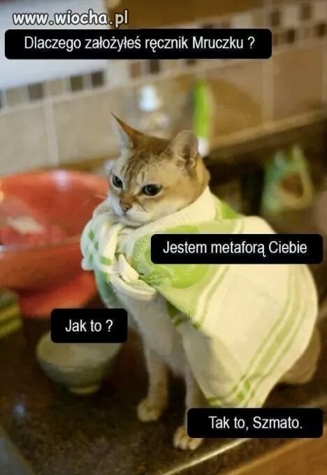 Jeśli ma 