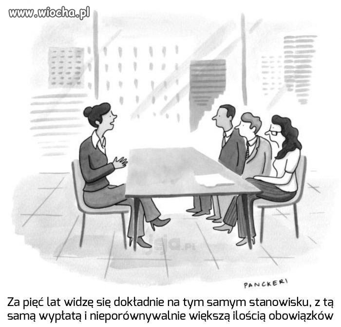 Czego oczekują pracodawcy...