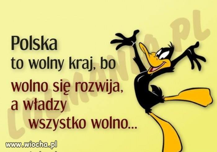 Taka sobie myśl.
