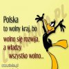 Taka sobie myśl.
