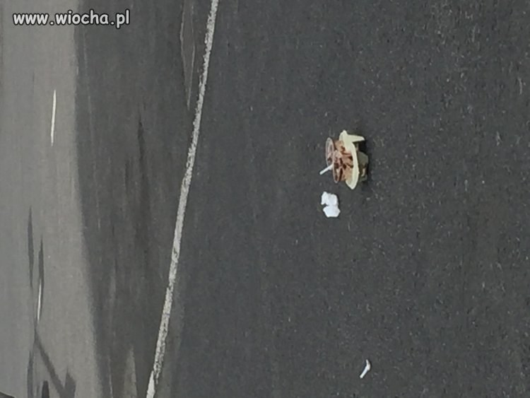 Szczyt lenistwa koło MC