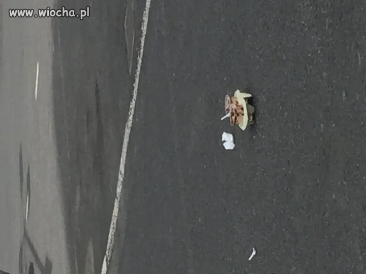 Szczyt lenistwa koło MC