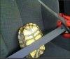 Kiedy laska prowadzi Twoje auto