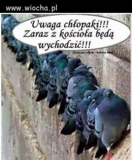 One wiedzą czy dałeś na tace