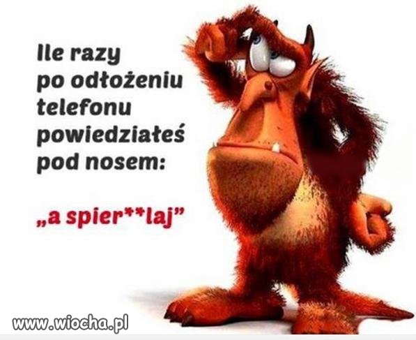 Za każdym razem gdy dzwonią do mnie z rewelacyjną 
