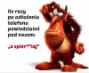 Za każdym razem gdy dzwonią do mnie z rewelacyjną 