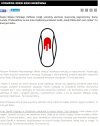 Feministyczna głupota, czyli jak można porównywać 