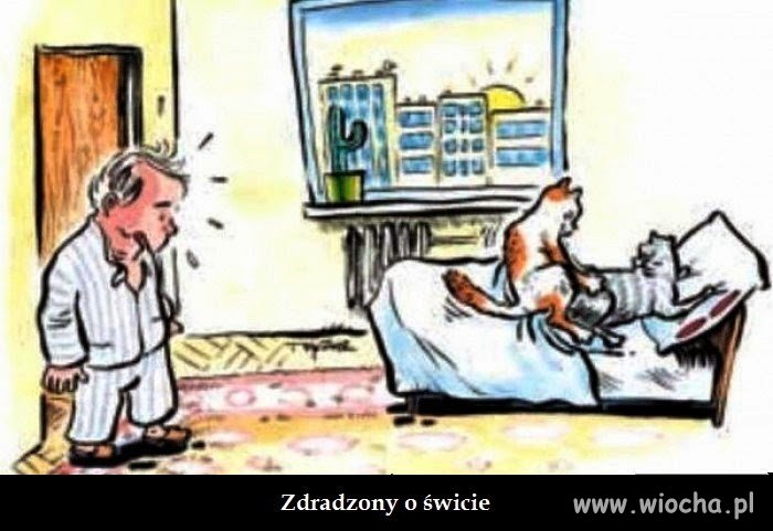 Na dobranoc