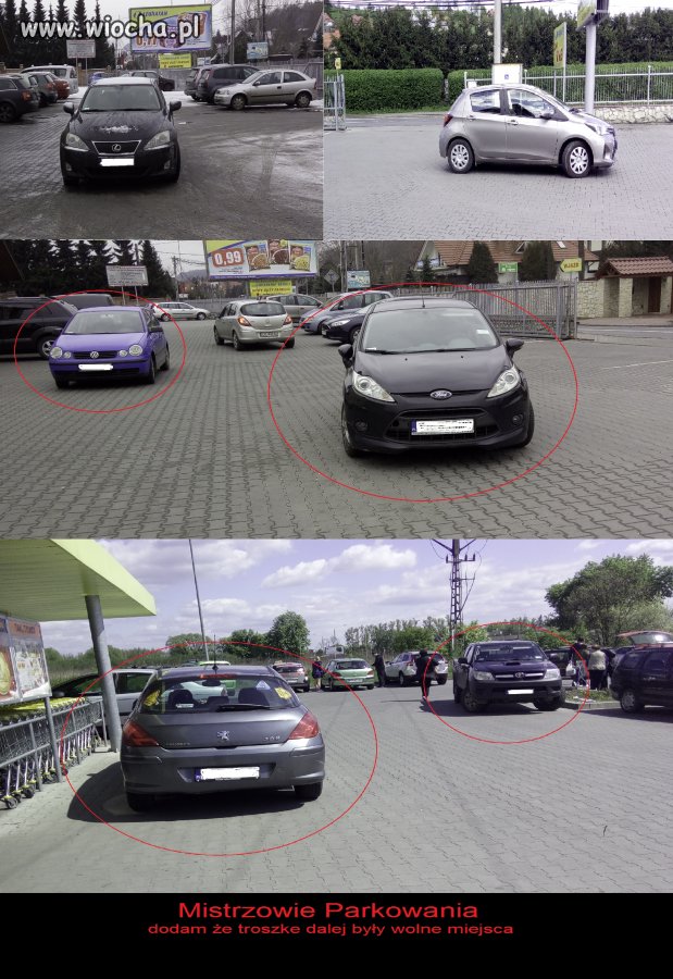 Lenistwo do potęgi