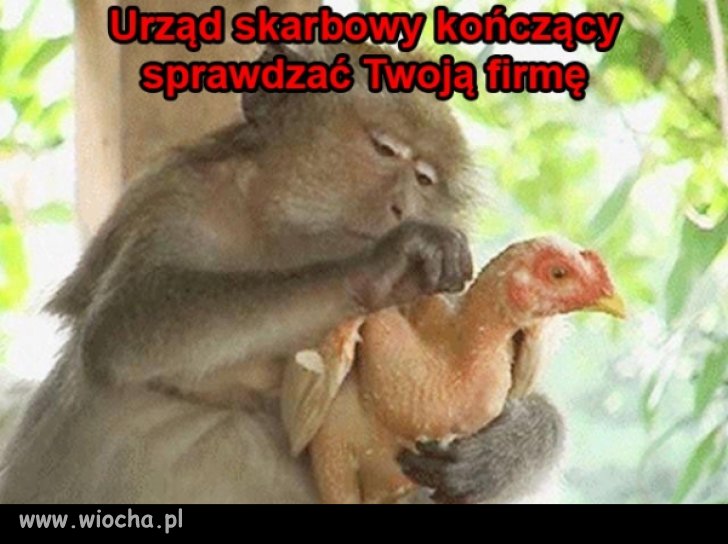Pozycja na urząd skarbowy: