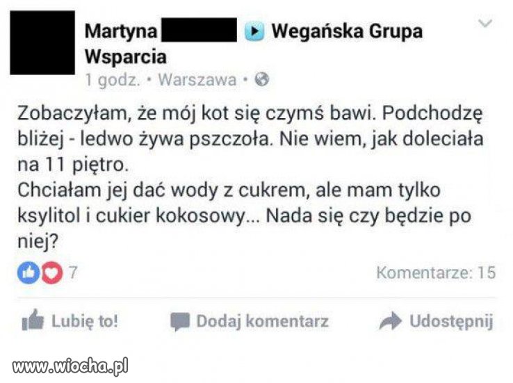 Weganie- co z tymi ludźmi?