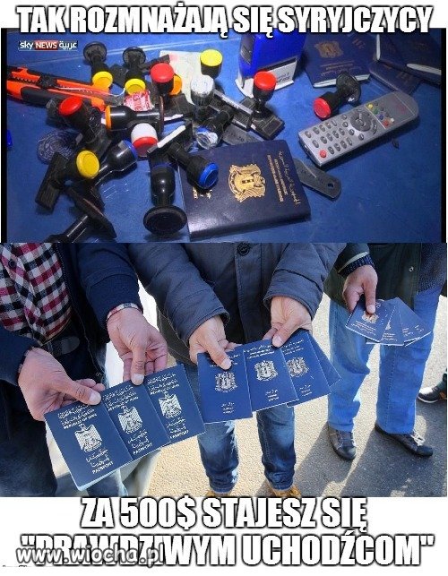 Najlepszy biznes świata- bycie uchodźcą 