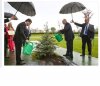 Deszcz pada ale podlać trzeba .