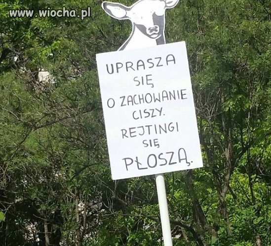 Prośba z góry 