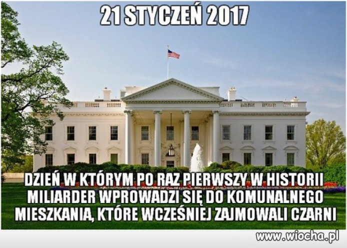Coś w tym jest