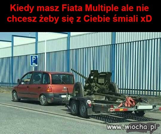 Multipla 