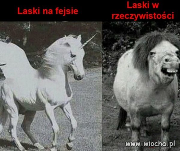 Facebook vs. Reallifebook