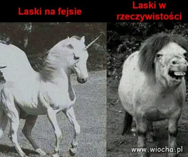 Facebook vs. Reallifebook