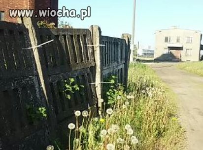 Trzyma się? Trzyma się! 