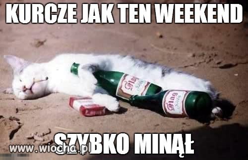Znowu poniedziałek
