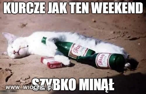 Znowu poniedziałek