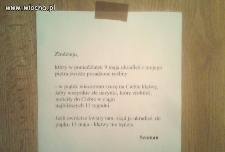 Nie drażnić szamana.