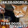 Kot pijak 