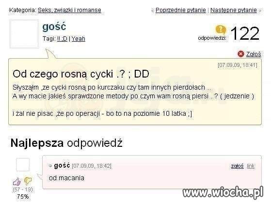 Od czego rosną cycki