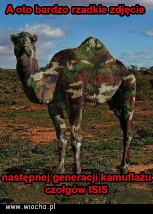 Kamuflaż w ich stylu...