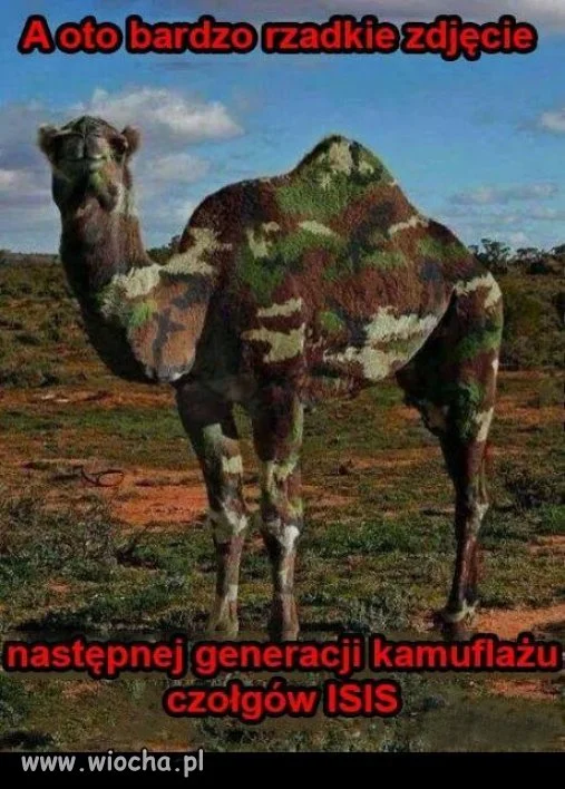 Kamuflaż w ich stylu...