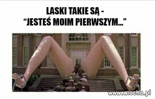 Laski takie są 