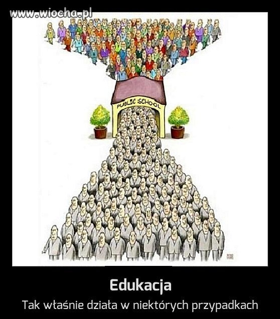 Edukacja
