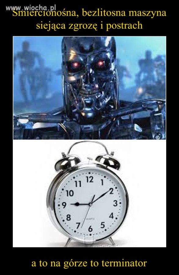 W sumie coś w tym jest
