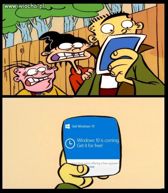 Windows, pls...