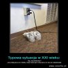 Świecące buty