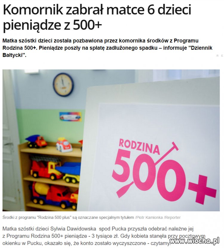 Komornicze sępy w akcji.