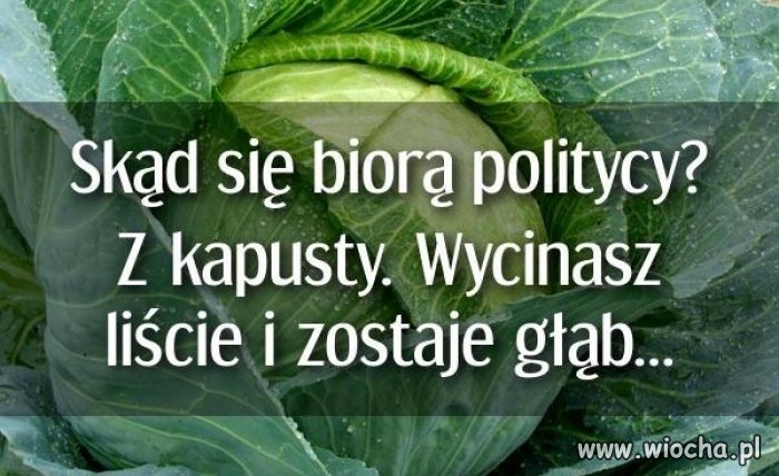 I chyba to jedyna 