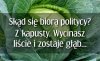 I chyba to jedyna 