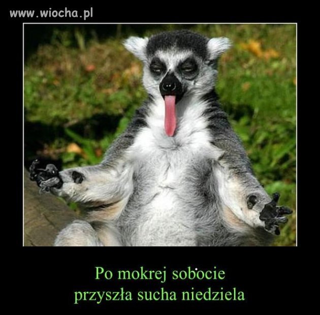 Z pewnym wyprzedzeniem pozdrawiam wszystkich