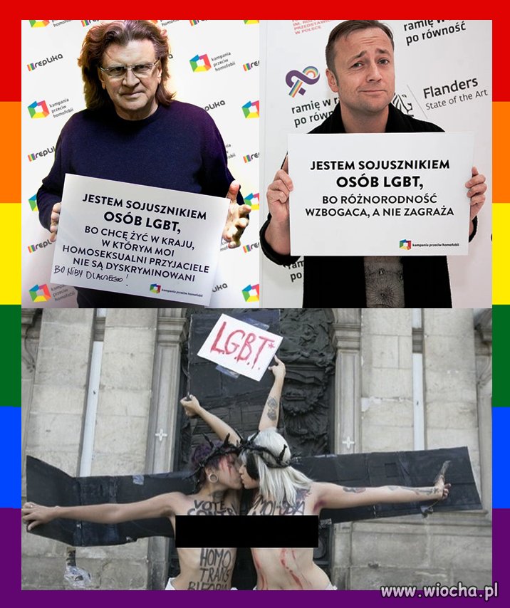 Sojusznicy LGBT