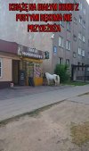 Książę  ...