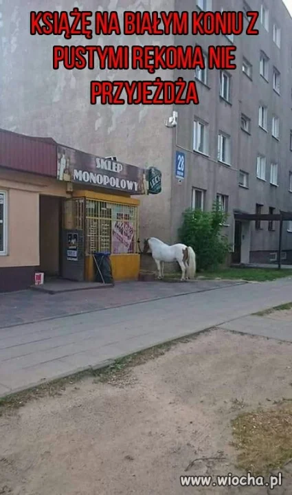 Książę  ...