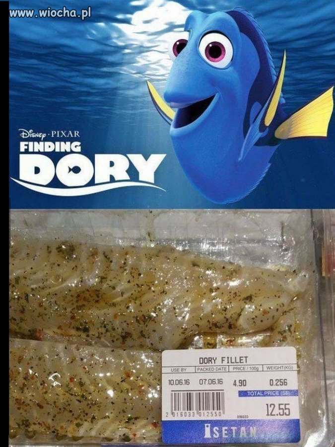 Znaleźli Dory 