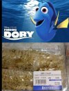 Znaleźli Dory 