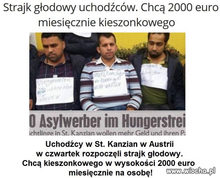 Oni chcą!